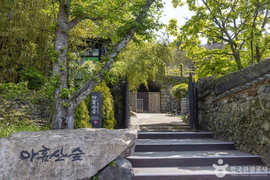 Stone steps and the signed entrance to Ahopsan Forest