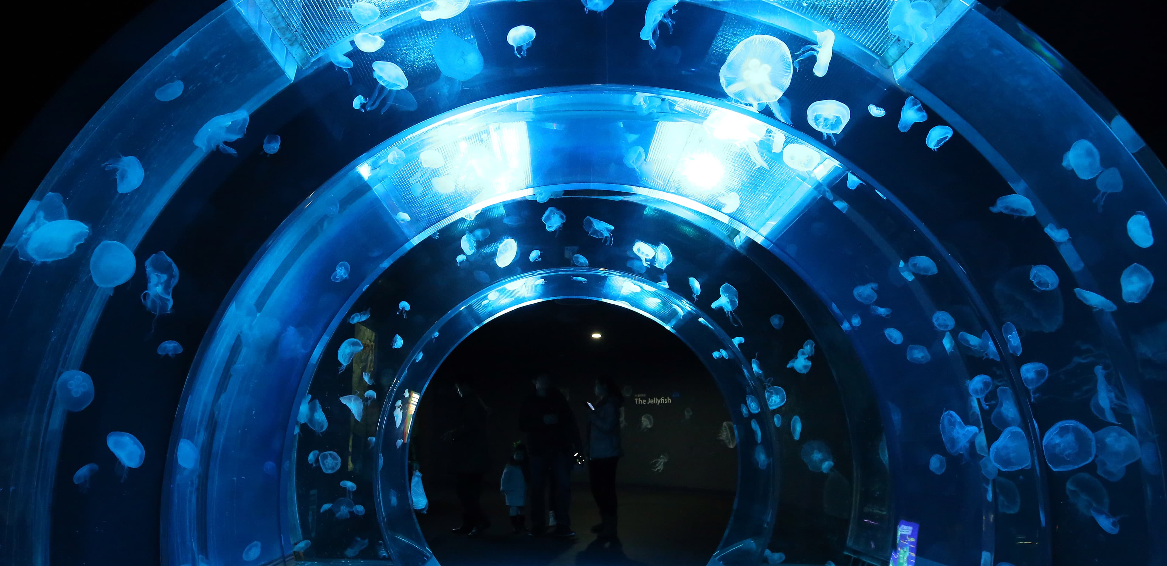 一山Aqua Planet水族館
