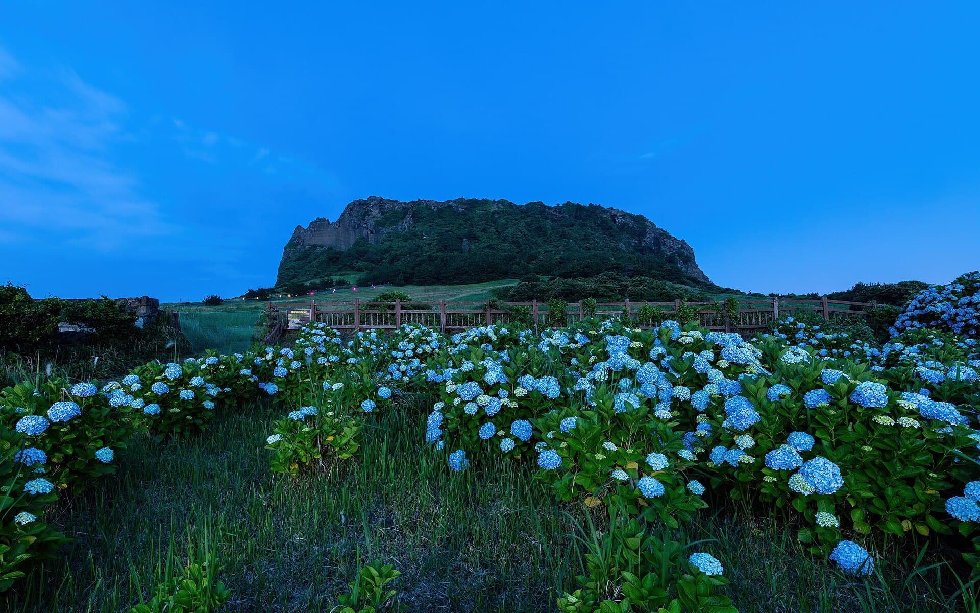 Seongsan Ilchulbong (Sunrise Peak)