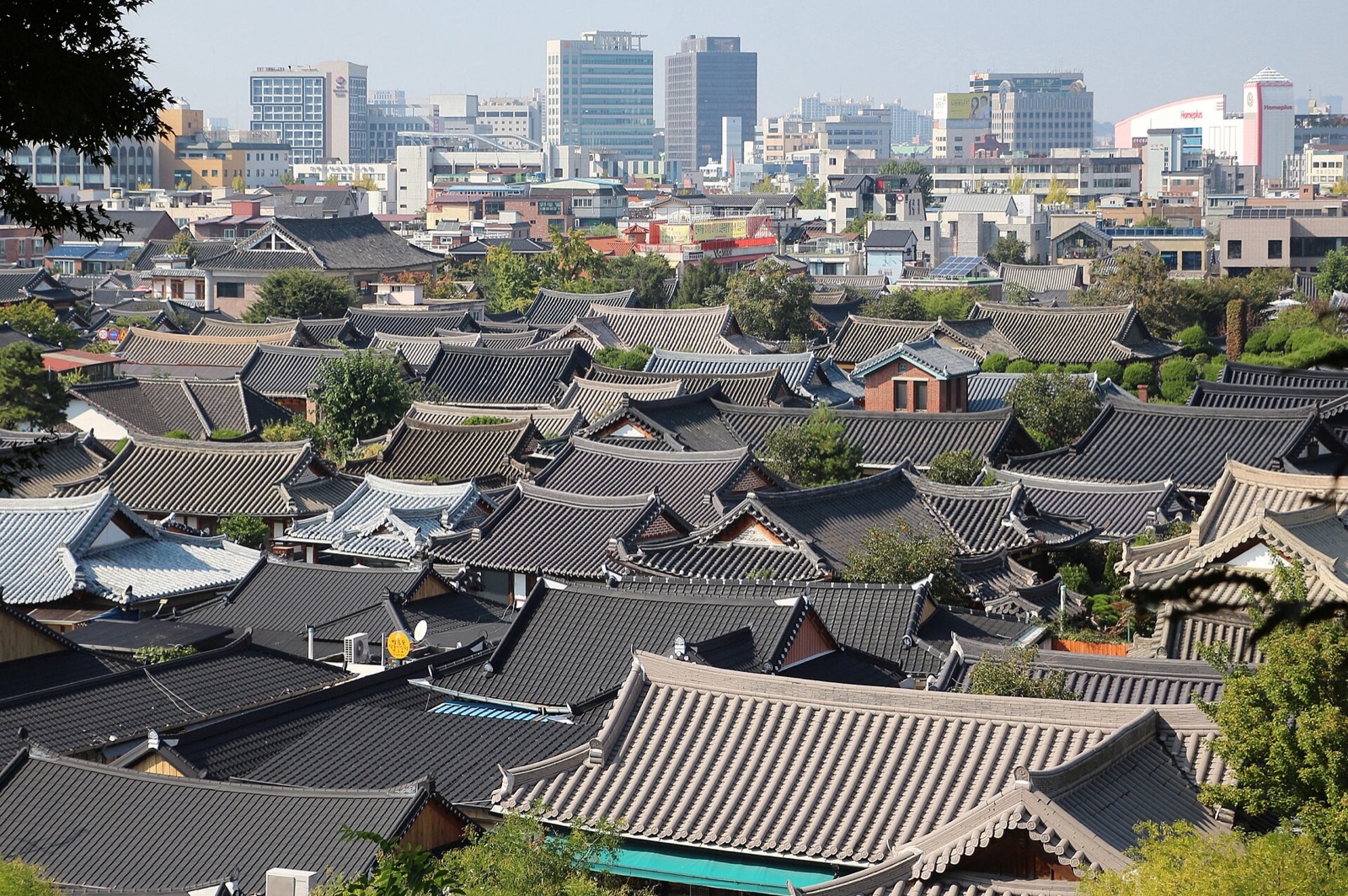 二五二一 全州Korea Lens